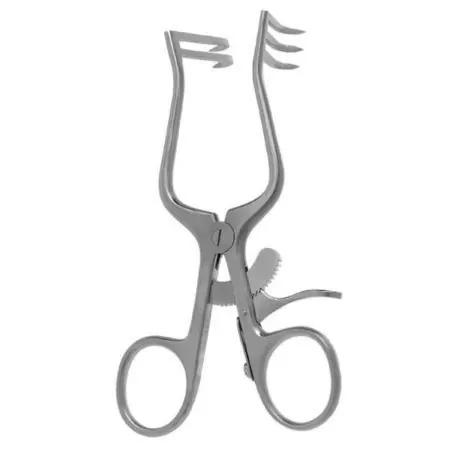 Ring handles with a ratcheting clasp for restricting the pronged tips from opening or closing themselves